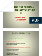 Presentacplagas Horti II2012)