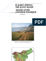 The Karst Springs of The Kanin Basin PDF