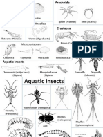 Aquatic Invertebrate Guide