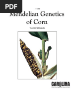 Download Mendelian Genetics of Corn by Aloysius Raj SN165059454 doc pdf