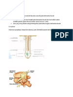 Protap Paraplegia