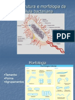 Ultraestrutura e morfologia da célula bacteriana(2)