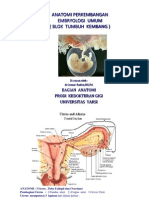 Embryologi Prodi Gigi-Edit