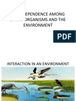 Interdependence Among Living Organisms and the Environment