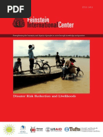 Disaster Risk Reduction and Livelihoods