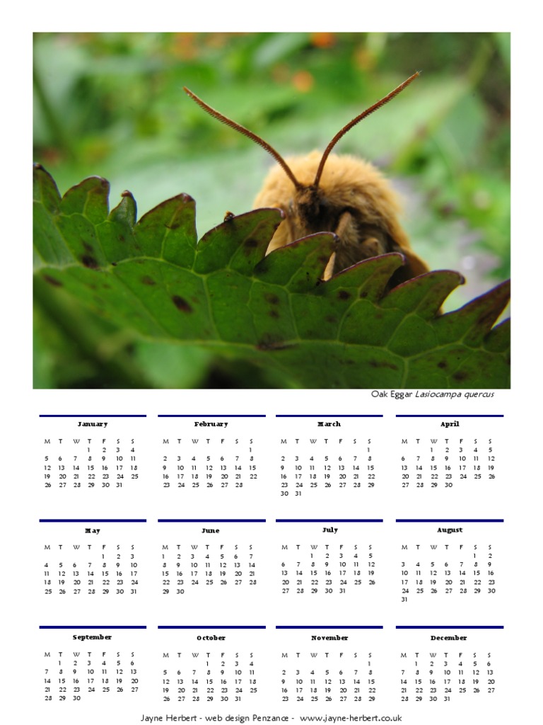 Oak Eggar Moth Calendar 2009 | PDF | Trees | Plant Life Form