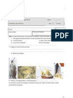 Ficha Diagnóstica História 7ºano