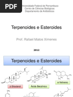 Aula 02 - Terpenoides e Esteroides