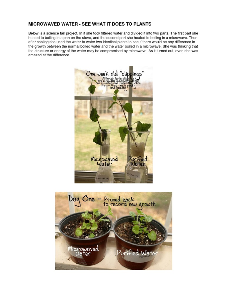 Microwaved Water See What It Does To Plants PDF Cancer Human Body