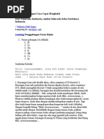 Download Rahasia Otak Super by Arif Pratama Zati SN16513490 doc pdf
