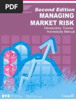 Managing Market Risk 2 Ed