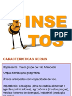 cópia de INSETOS