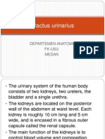 Tractus Urinarius: Departemen Anatomi Fk-Usu Medan