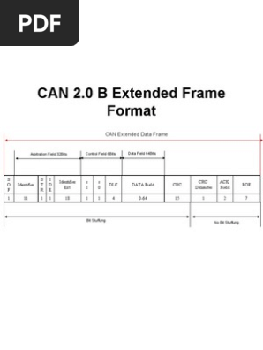 Can Standard Frame Format