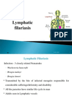 Lymphatic Filari