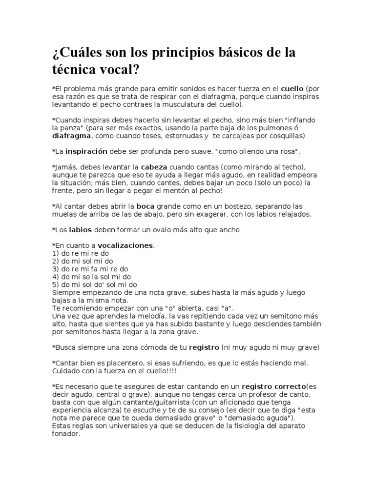 cuáles son los principios básicos de la técnica vocal