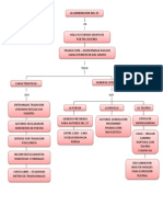 Mapa Conceptual