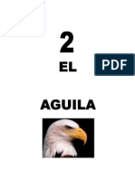 Leccion 2 Aguila