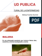 Malaria