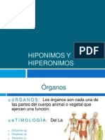 Hiponimos y Hiperonimos-Mariel