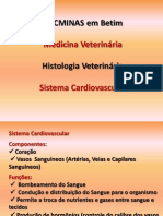 Texto Sistema Cardiovascular Completo.ppt