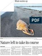 Nature Left To Take Its Course (Timaru Herald 2013.8.27)