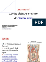 Liver & Portal Vein