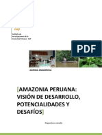 Vision de Desarrollo Sostenible de La Amazonia Peruana.