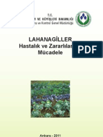 Lahanagiller hastalık ve zararlıları.pdf