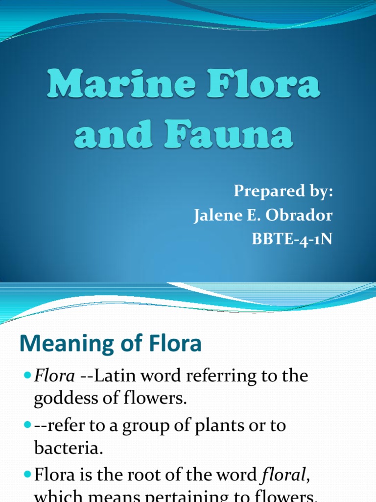 Marine Flora and Fauna.2 Plants Reptile
