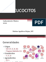 5 Leucocitos