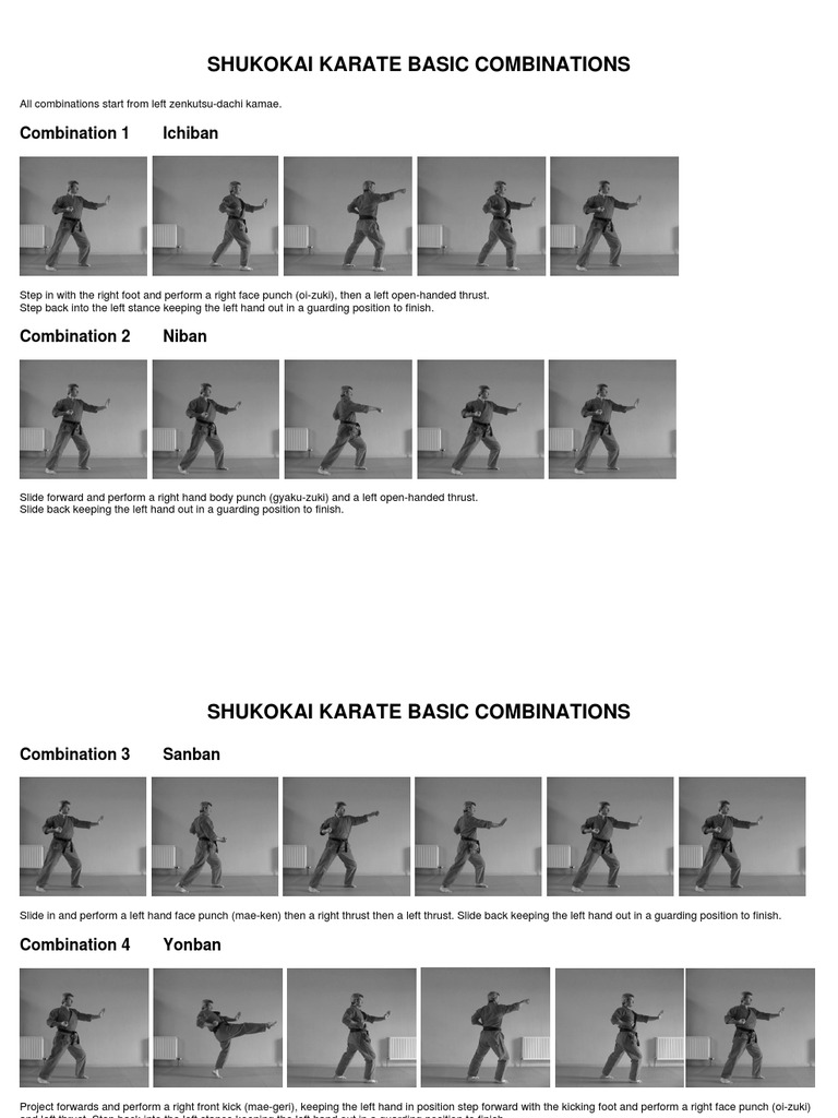 Traditional Shukokai Karate Basic Combinations Combat Sports