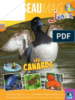 L'OISEAU MAGAZINE Junior N°12 (Extrait)