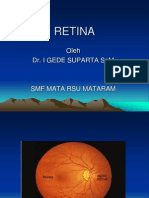 Anatomi Retina