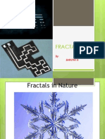 Fractals