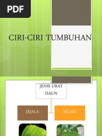 Ciri-Ciri Tumbuhan DST Tahun 3