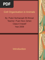 Cell Organisation in Animals