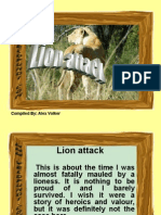 Lion Attack