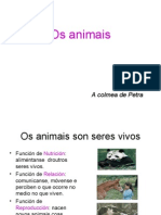 Os Animais