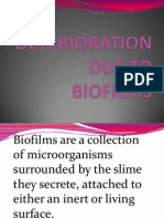 Deterioration Due to Biofilms