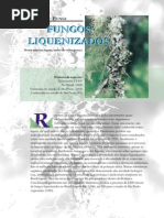 fungos liquenizados