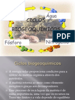 A6 Ciclos biogeoquímicos