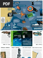 Salve os oceanos - poster