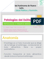 Patologías Del Esófago Completo