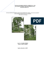 09 Evaluacion Economica Caoba Sanmartin