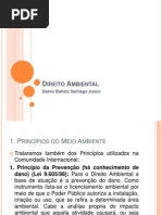 Direito Ambiental Prova.pptx