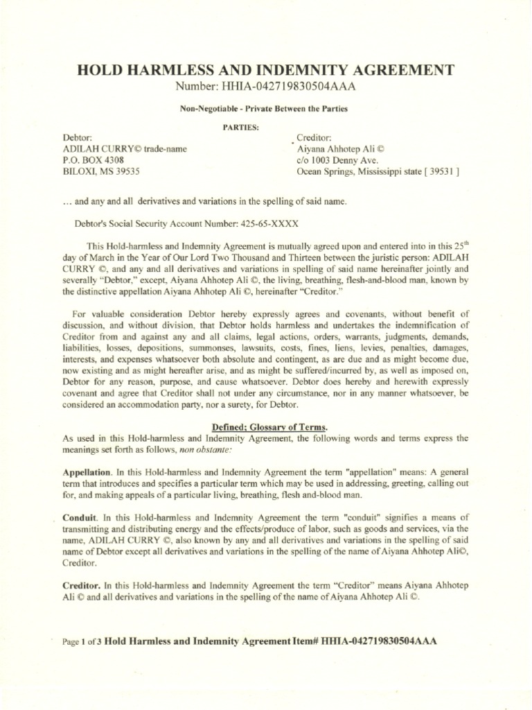 Hold Harmless and Indemnity Agreement Indemnity Legal Personality
