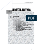 La Integral Indefinida