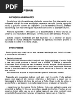 Caracterizarea Lui Mihai Viteazul