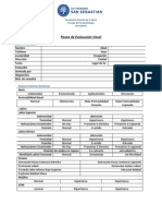 Pauta de Evaluación Vocal Terminada